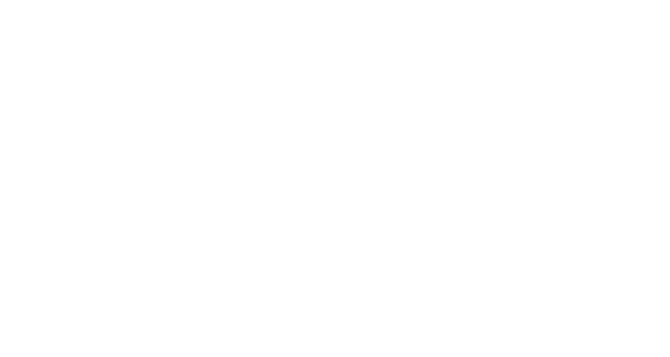 logo fox news